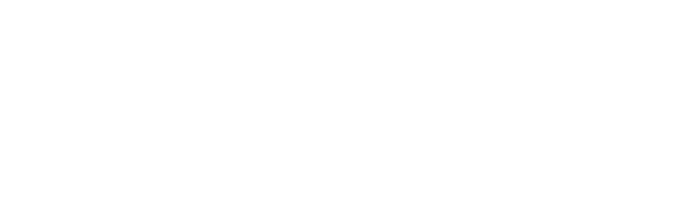 PVE - Logo (White)